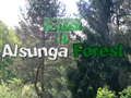Return To Alsunga Forest 