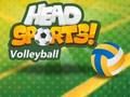 Head Sports Volleyball Head Sports Volleyball