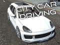 City Car Driving 