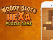 Woody Block Hexa Puzzle 
