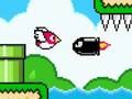 Bird Quest 