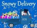 Snowy Delivery 