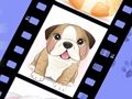 My cute pet 