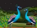 Couple Parrot Escape 