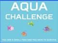 Aqua Challenge 