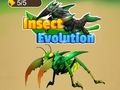 Insect Evolution 