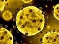 Coronavirus Slide Coronavirus Slide
