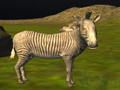 Real Jungle Animals Hunting 