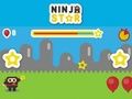 Ninja Star 