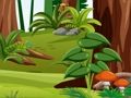 Hidden Animals 