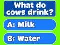Trivia Best Family Quiz 