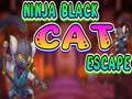Ninja Black Cat Escape 