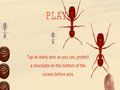 Smash All Ants 