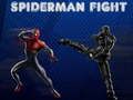 Spiderman Fight 