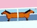 Horse Divorce 
