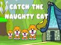 Catch the naughty cat 