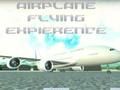 Airplane Flying Experience 