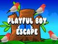 Playful Boy Escape 