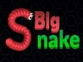 Big Snake. io 