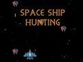 Space Ship Hunting 