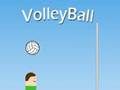 VolleyBall 