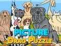 Picture Drag Puzzle 