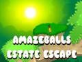 Amazeballs Estate Escape 