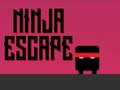 Ninja escape 