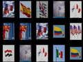 Memorize the flags 