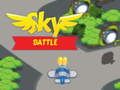 Sky Battle 