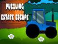 Puzzling Estate Escape 