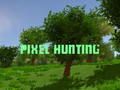 Pixel Hunting 
