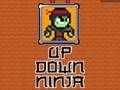 Up Down Ninja 