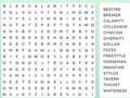 Word Search 