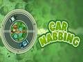Car Nabbing 