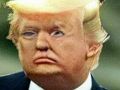 Fun e Face 