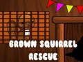 Brown Squirrel Rescue 