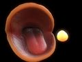 Pac-Man 