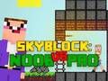 Noob vs Pro Skyblock 