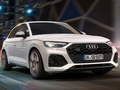 Audi SQ5 TDI Slide 