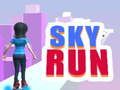 Sky Run 