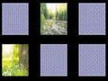 Nature Memory 