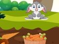 Hungry Rabbit 