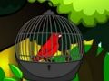 Rescue the Cage Bird 