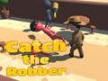 Catch the robber 