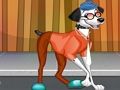 Pongo 