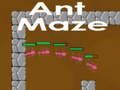 Ant maze 