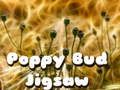 Poppy Bud Jigsaw 