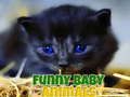 Funny Baby Animals 