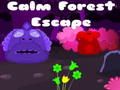 Calm Forest Escape 